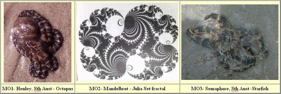 Fractal images interact with nature.