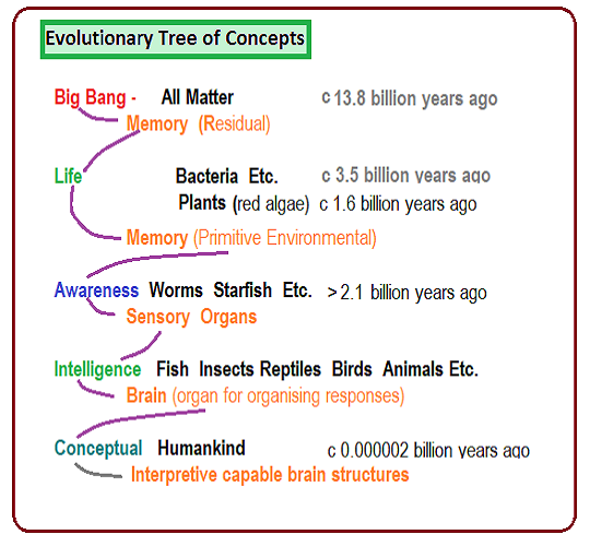 The Evolutionary Tree of Concepts